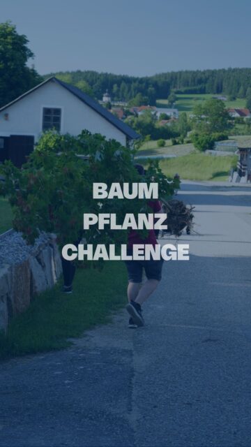 🌳 Baumpflanzchallenge 🌳

Ein großes Dankeschön an den @mv_reichenthal für die Nominierung – die 5 Kisten Bier bekommt ihr leider nicht! 😉🍺

Wir nominieren:
🎺 @musikverein.gerersdorf
🎶 @vorlewanka
🎬 @theatergruppe_schenkenfelden

Für euch gilt wie gehabt: eine Woche Zeit – sonst gibt’s 5 Kisten Bier für uns! 😋🍻

Wie im Video schon erwähnt, möchten wir euch jetzt schon ganz herzlich zu unserem Bezirksmusikfest im Sommer 2026 einladen! 🎉

Für alle, die nicht mehr bis nächstes Jahr warten können:
Heute um 16:20 Uhr stellen wir unser Können beim @bezirksmusikfest_uu in Alberndorf unter Beweis! 🎶

Wir gfrein uns auf eich! 🤩